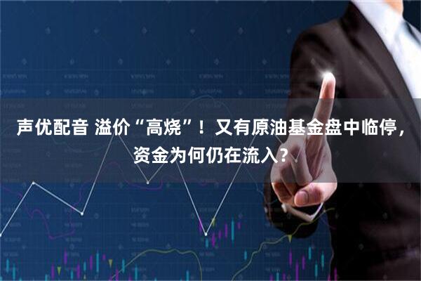 声优配音 溢价“高烧”！又有原油基金盘中临停，资金为何仍在流入？