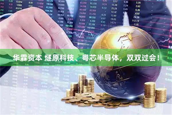 华霖资本 燧原科技、粤芯半导体，双双过会！